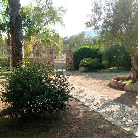 Martina * 维拉西米乌斯